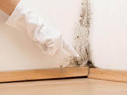 Mold Remediation for Vacation Homes in Opelika, AL